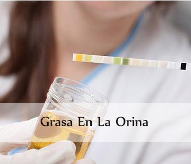 Grasa En La Orina